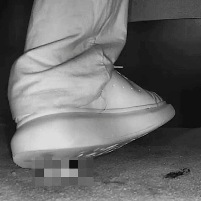 Woman in Alexander McQueen shoes candid crushing in cinema 3