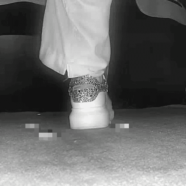 Woman in Alexander McQueen sneakers candid crushing in cinema 2