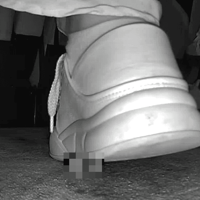 Woman in skirt and white sneakers candid crushing in the cinema 4