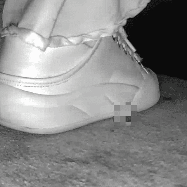 Woman in skirt and white sneakers candid crushing in the cinema 5